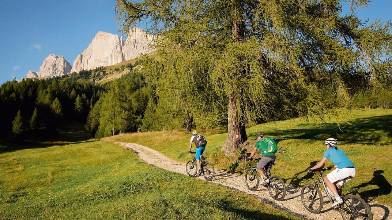 Olang App Dolomiten Villa Colli מראה חיצוני תמונה